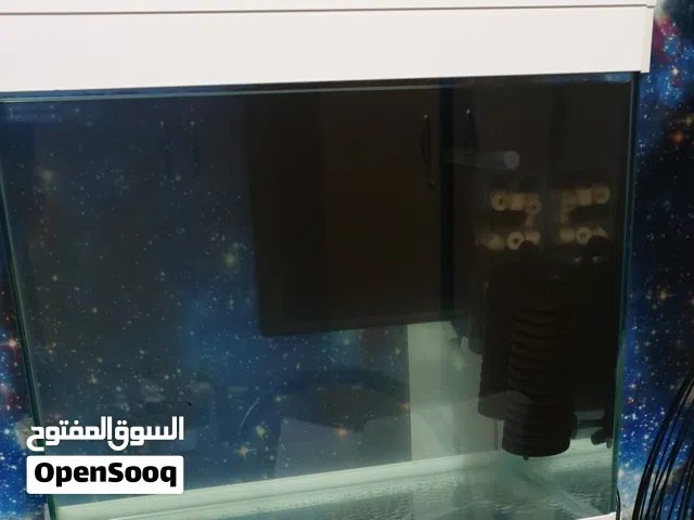 حوض سمك كبير زجاجي، big glass fish aquarium