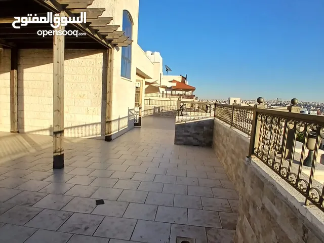 روف مع ترس بإطلالــــه بانوراما