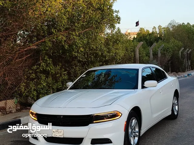 Used Dodge Charger in Basra