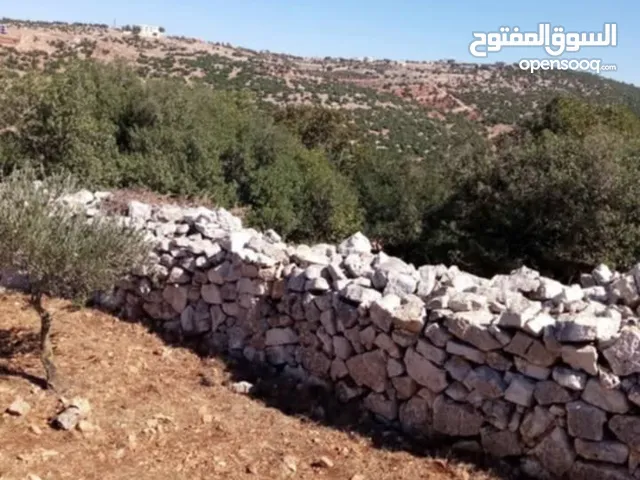 Mixed Use Land for Sale in Ajloun Other