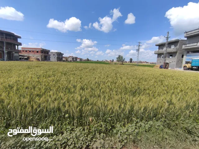 Farm Land for Sale in Beheira Abou Homs