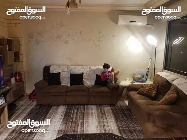 ركلاينر امريكي