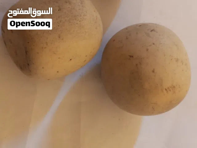 انتيكا وتحف