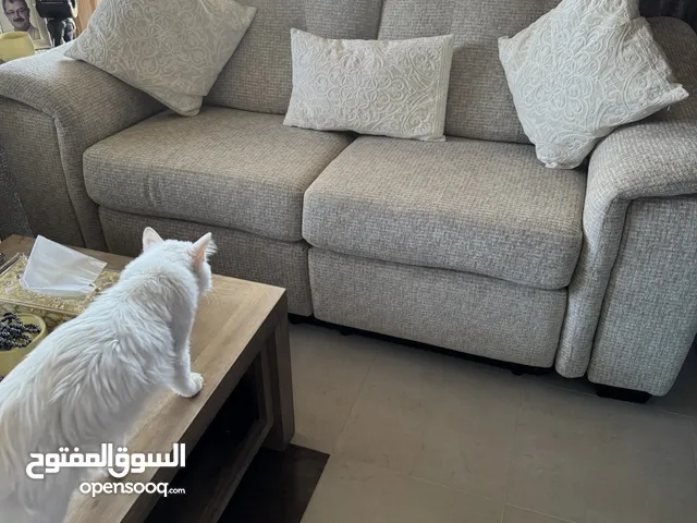 طقم ركلاينر علي الكهرباء من أشلي