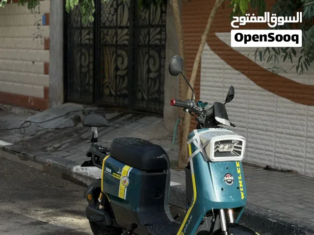 2025 اخرى اخرى