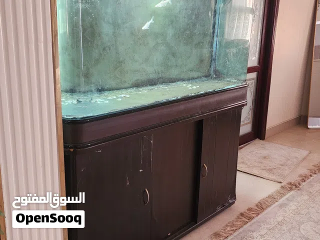حوض سمك للبيع