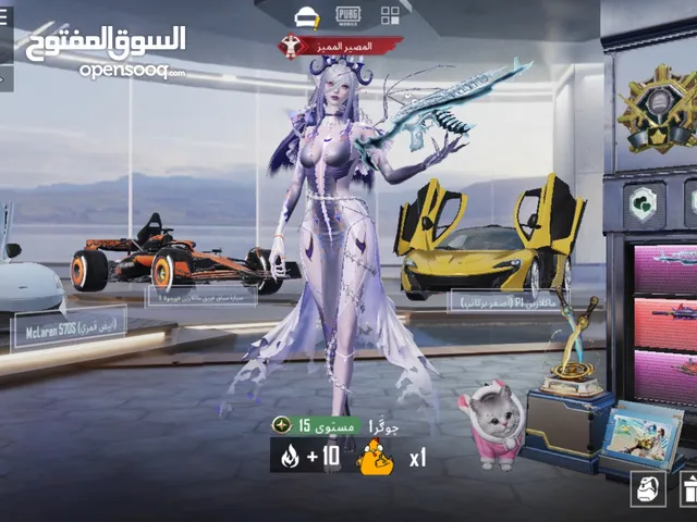 Pubg Accounts and Characters for Sale in Zarqa