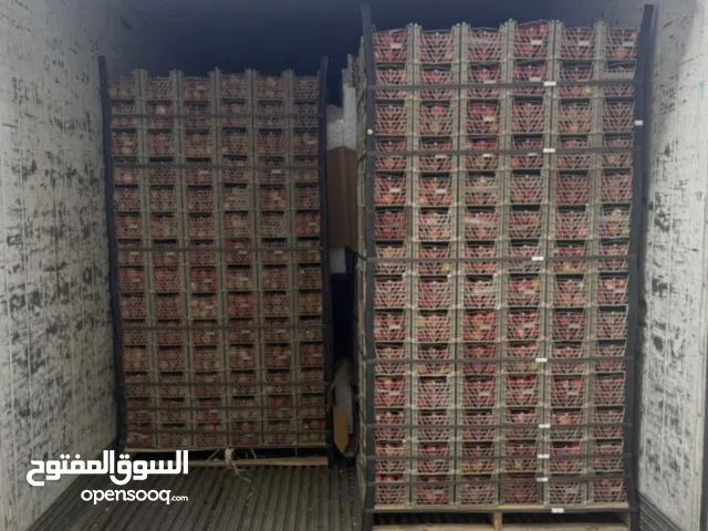 تصدير واستيراد الخضروات والفواكة
