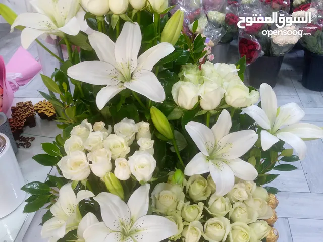 Nasser Alnamrouty