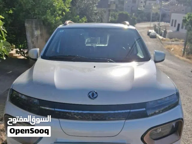 2024, Dongfeng, EX1