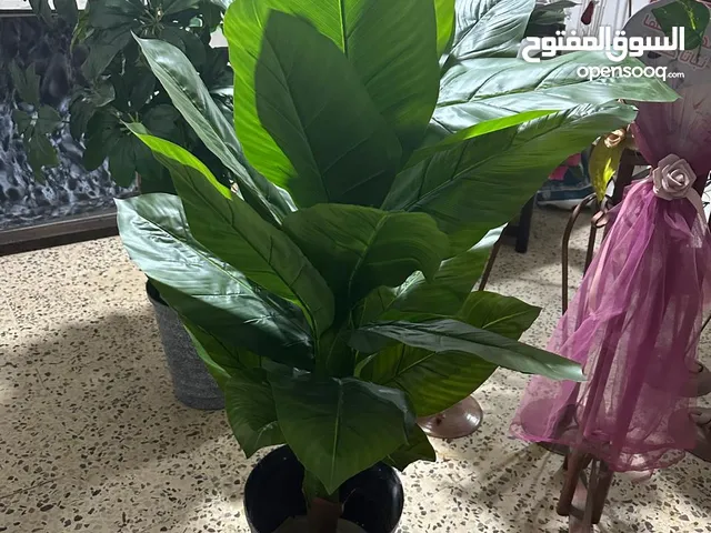 أدوات محل ورد