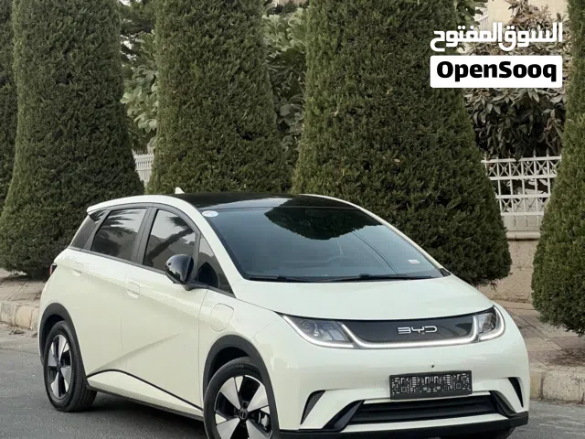 BYD دويلفن 2023 فل كامل اعلى صنف فحص كامل ((قابل للبدل))