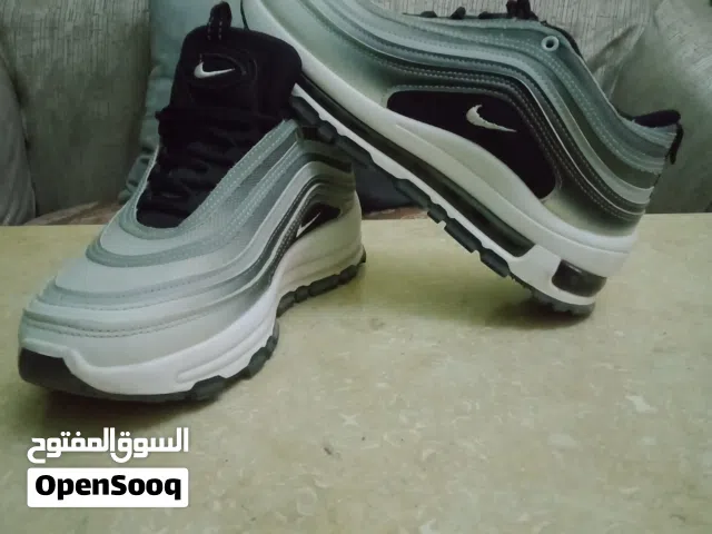 كوتش الاوريو