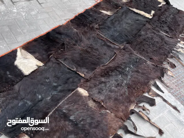 جلد غنم طبيعي 100%100