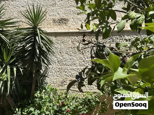 130 m2 2 Bedrooms Apartments for Sale in Amman 7th Circle