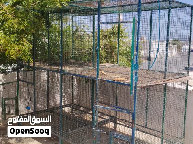 قفص للبيع و محاكر(وصف مهم)  .......... . . . . . . . .  .  .  .  .  .  .  .  .  .  .  . . . . . . .