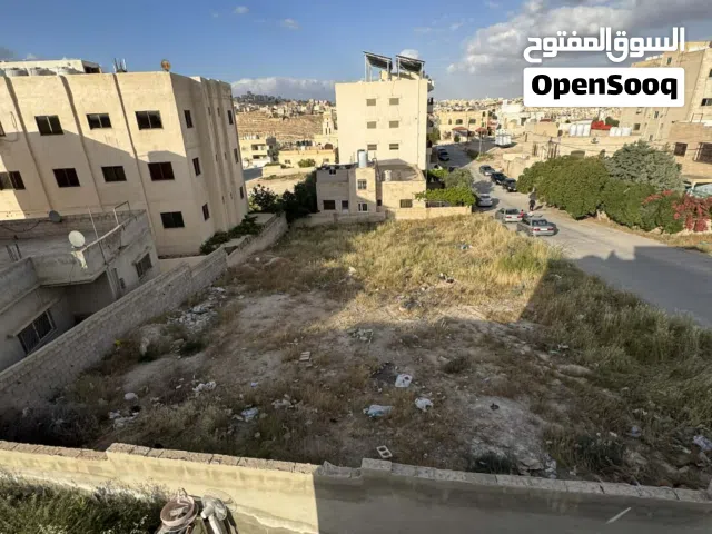 ارض سكنية للبيع الزرقاء