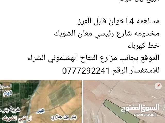 Farm Land for Sale in Ma'an Other