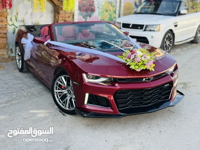 كمارو مميزززززة جداً لإيجار الاعراس و المناسبات