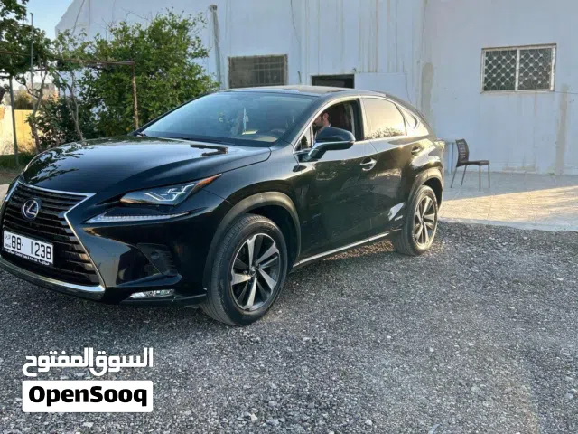 2020 Lexus NX NX 300