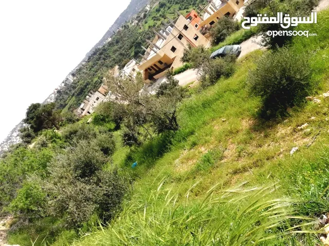 Residential Land for Sale in Salt Al Balqa'