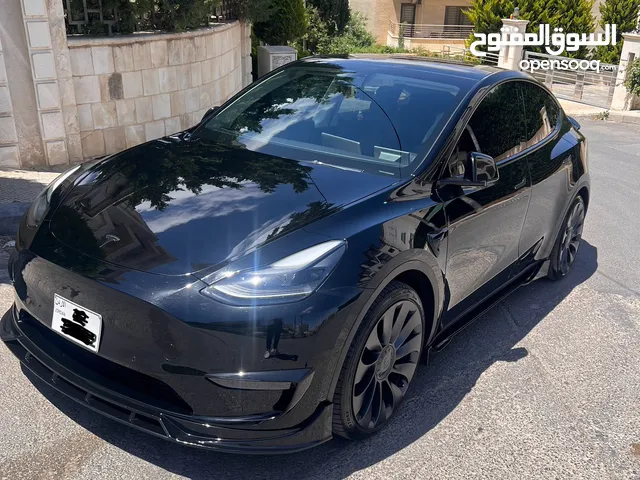 Tesla model Y performance 2021