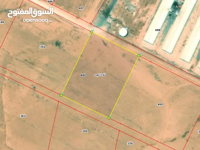 Farm Land for Sale in Mafraq Other