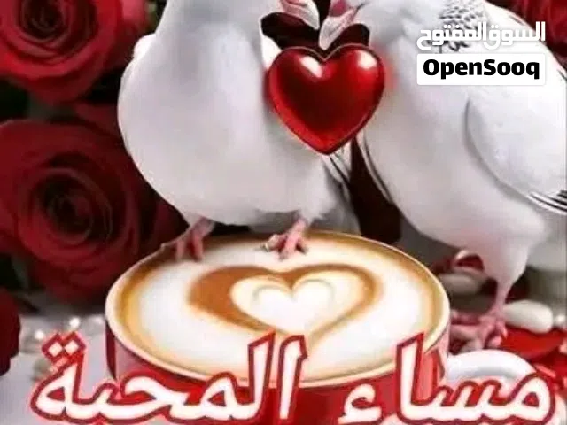 Other 0 - 1 Ton AC in Tripoli