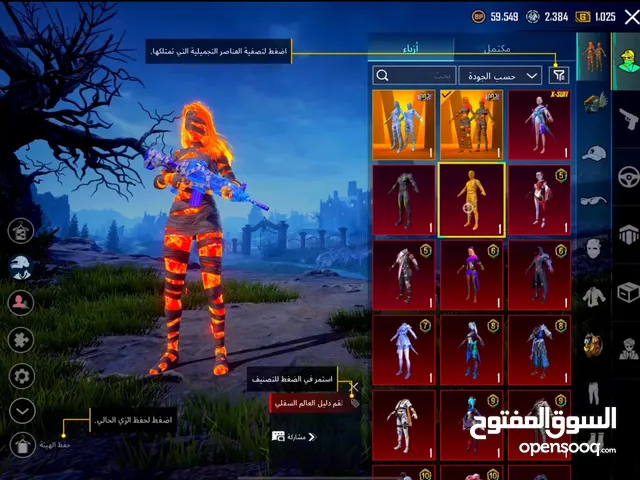 Pubg Accounts and Characters for Sale in Northern Governorate