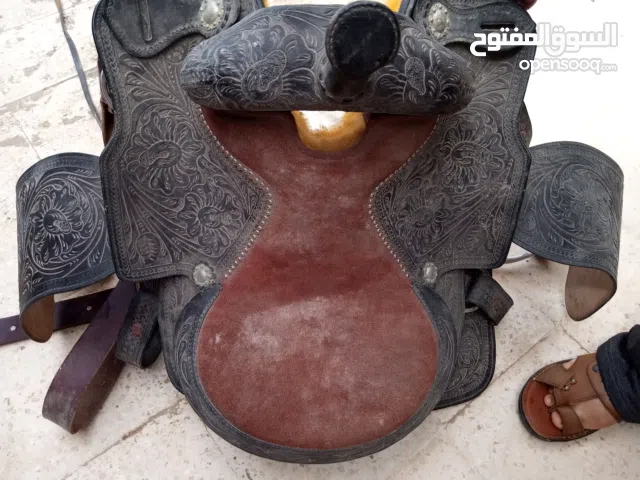 سرج خيل للبيع