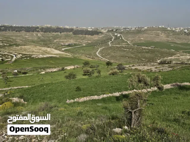 مرزعه للبيع 10 دونمات