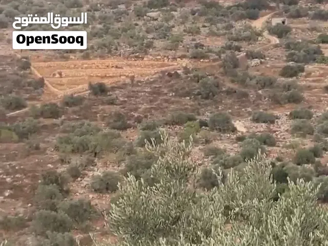Mixed Use Land for Sale in Tulkarm Bal'a