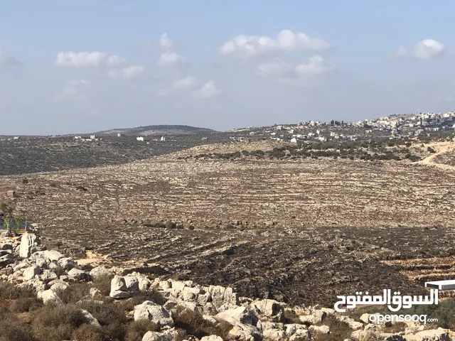 ارض للبيع في كفر قدوم
