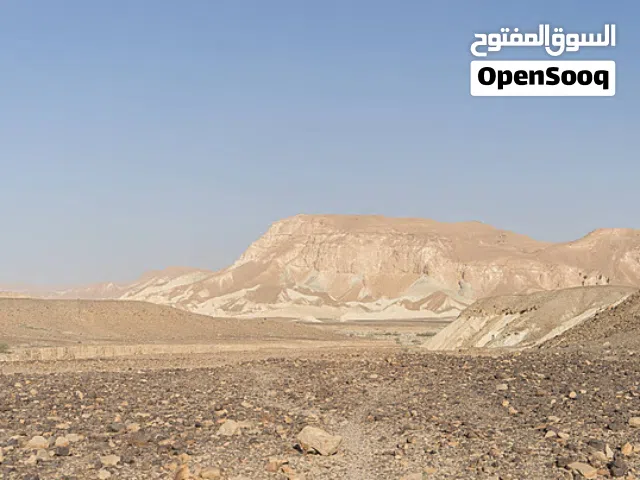 دنم للبيع الموقع الحلابات قرب قصر الحلابات الغربي بسعر مغري جدا يزبط مزرعه وصاله مي وكهربه