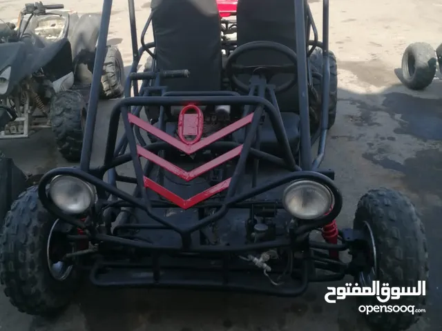 Buggy All Models 2014 in Buraimi