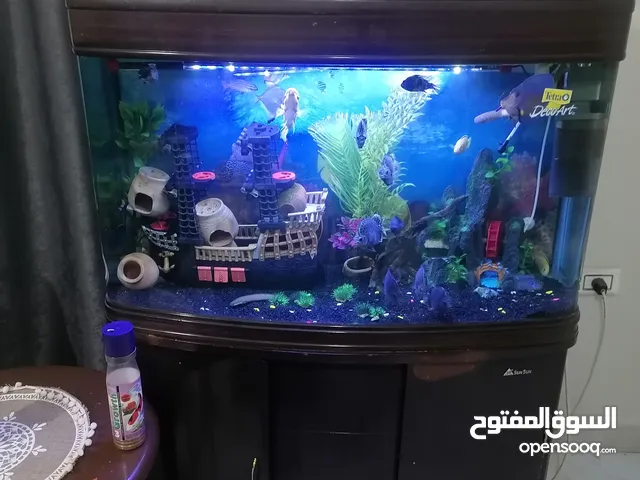 حوض لقطه موجود في ناعور مع السمك أنواع مختلفة من السمك
