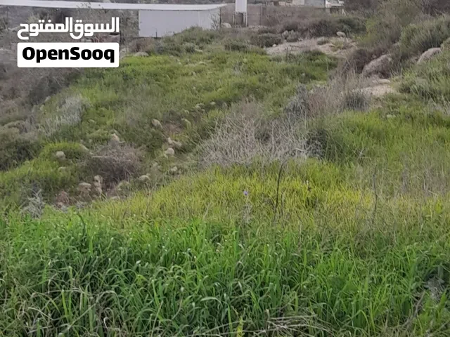 ارض مساحه اكثر من 2 دونم امكانيه تقسيط وامكانيه دفعه وشكات بدايه