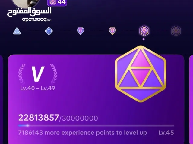 Social Media Accounts and Characters for Sale in South Governorate