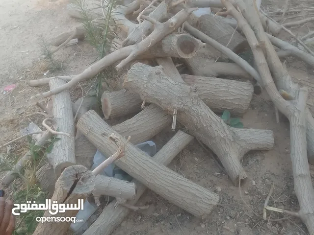 حطب متع اشجار توت للبيع