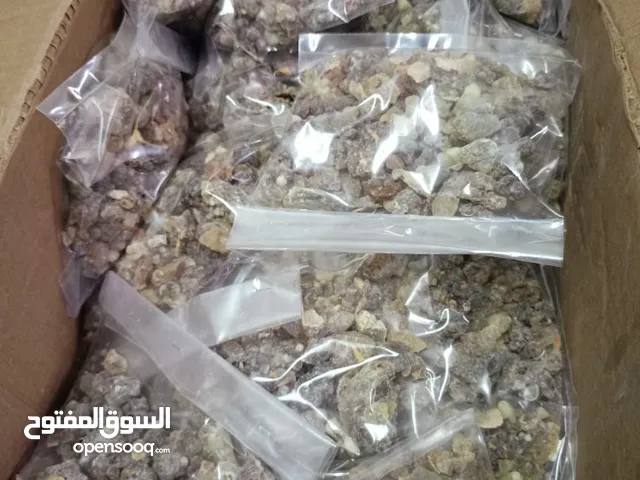,اللبان حوجري