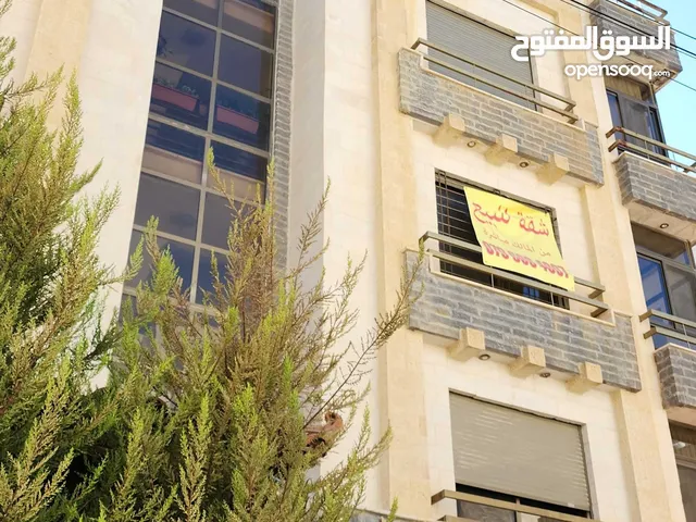 173م في ضاحية رشيد قريب الكلية من المالك مع مطبخ حديث