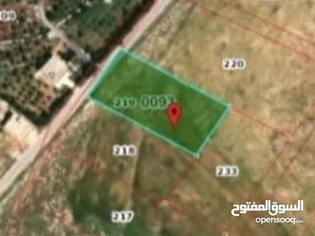 Farm Land for Sale in Madaba Dalilet Al-Hamaideh