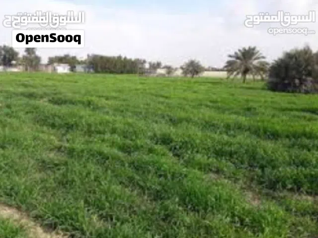 Farm Land for Sale in Tripoli Espiaa