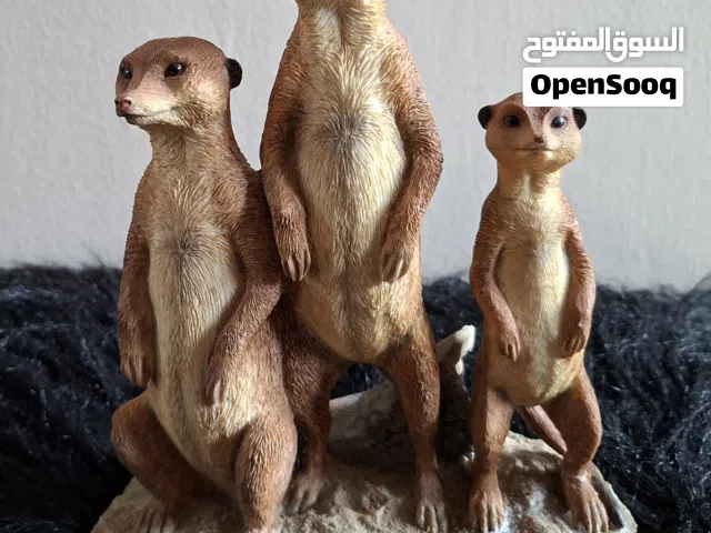 قطع مميزه للمهتمين