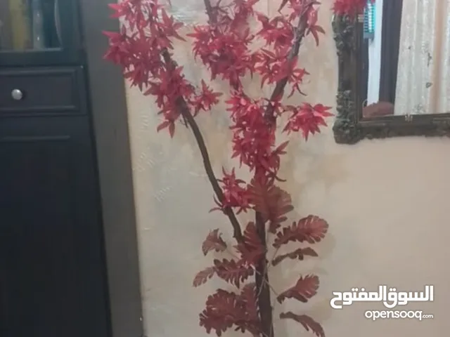 شجر صناعي منزلي