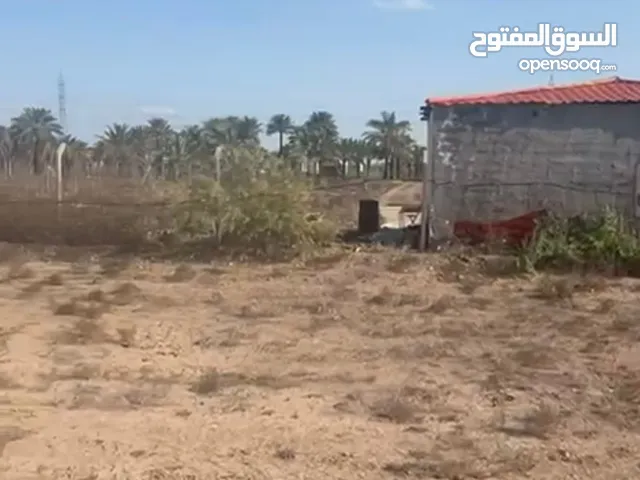 Farm Land for Sale in Baghdad Dora