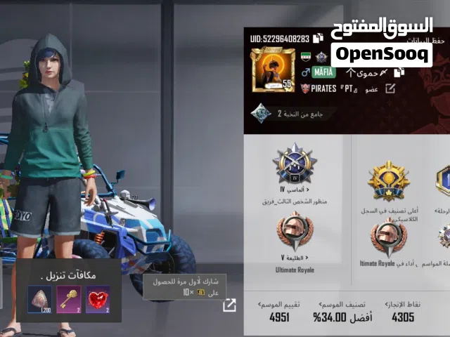 Pubg Accounts and Characters for Sale in Hama
