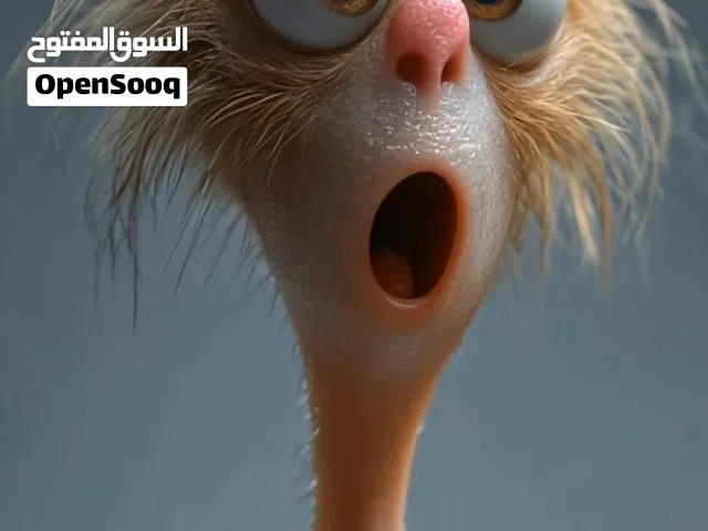 اخوان رجاء اقره الوصف زين ،،، مطلوووب