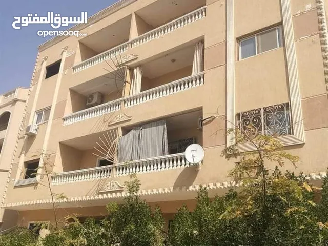 152 m2 3 Bedrooms Apartments for Rent in Cairo Shorouk City