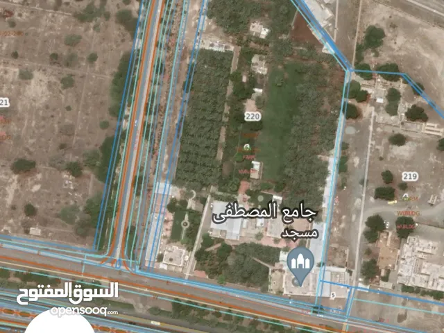 أرض سكنية في المنومة قريبة جداً من الشارع العام قرب جامع المصطفى على اول خط من شارع المنومه